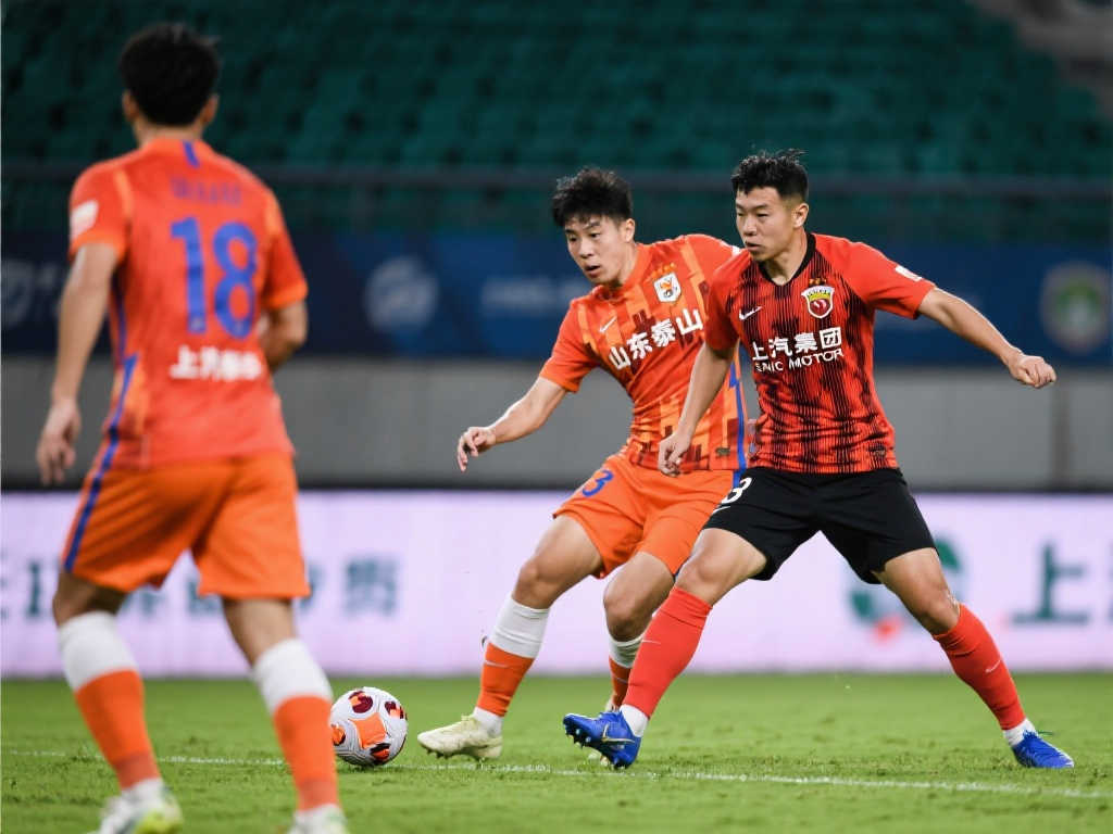 场观众的热 场观众的热